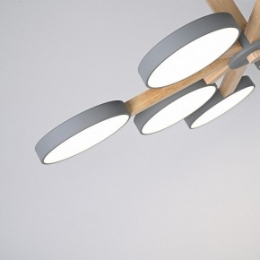 Люстра на штанге Imperiumloft TURNA Gray TURNA-B01 в Коротчаево - korotchaevo.ok-mebel.com | фото 10