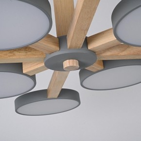 Люстра на штанге Imperiumloft TURNA Gray TURNA-B01 в Коротчаево - korotchaevo.ok-mebel.com | фото 7
