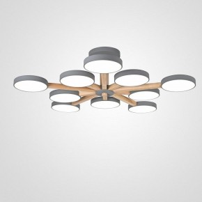 Люстра на штанге Imperiumloft TURNA Gray TURNA-B01 в Коротчаево - korotchaevo.ok-mebel.com | фото