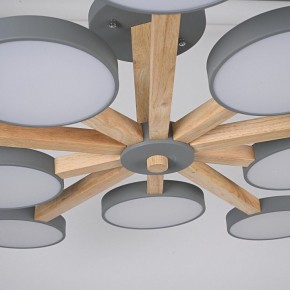 Люстра на штанге Imperiumloft TURNA Gray TURNA-B01 в Коротчаево - korotchaevo.ok-mebel.com | фото 10
