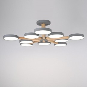 Люстра на штанге Imperiumloft TURNA Gray TURNA-B01 в Коротчаево - korotchaevo.ok-mebel.com | фото 4