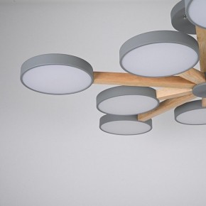 Люстра на штанге Imperiumloft TURNA Gray TURNA-B01 в Коротчаево - korotchaevo.ok-mebel.com | фото 9