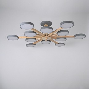 Люстра на штанге Imperiumloft TURNA Gray TURNA-B01 в Коротчаево - korotchaevo.ok-mebel.com | фото 3