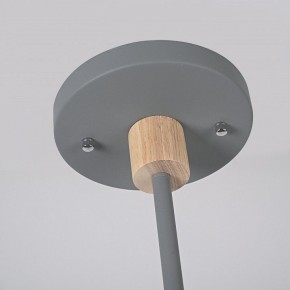 Люстра на штанге Imperiumloft TURNA Gray TURNA-DBL01 в Коротчаево - korotchaevo.ok-mebel.com | фото 9