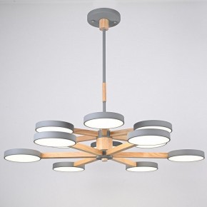 Люстра на штанге Imperiumloft TURNA Gray TURNA-DBL01 в Коротчаево - korotchaevo.ok-mebel.com | фото 3