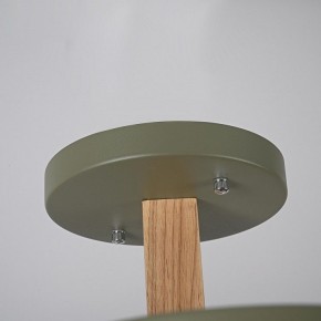 Люстра на штанге Imperiumloft TURNA Khaki TURNA-B01 в Коротчаево - korotchaevo.ok-mebel.com | фото 9