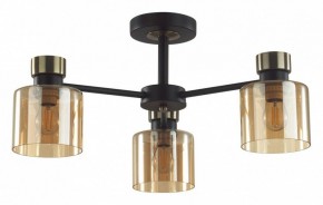 Люстра на штанге Lumion ARLIN 5643/3C в Коротчаево - korotchaevo.ok-mebel.com | фото