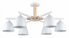 Люстра на штанге Lumion Colange 8095/6C в Коротчаево - korotchaevo.ok-mebel.com | фото