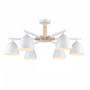 Люстра на штанге Lumion Colange 8095/6C в Коротчаево - korotchaevo.ok-mebel.com | фото 2