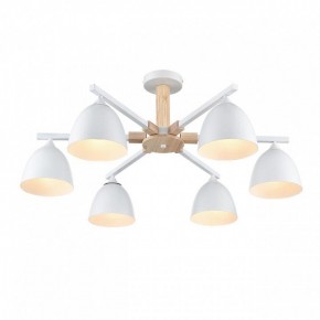 Люстра на штанге Lumion Colange 8095/6C в Коротчаево - korotchaevo.ok-mebel.com | фото 3
