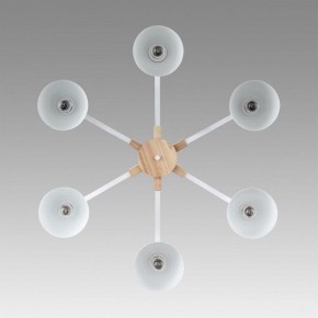 Люстра на штанге Lumion Colange 8095/6C в Коротчаево - korotchaevo.ok-mebel.com | фото 4