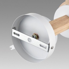 Люстра на штанге Lumion Colange 8095/6C в Коротчаево - korotchaevo.ok-mebel.com | фото 6