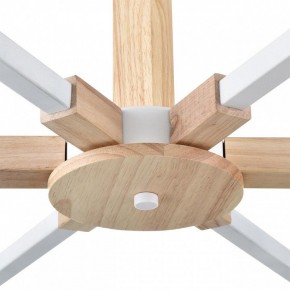 Люстра на штанге Lumion Colange 8095/6C в Коротчаево - korotchaevo.ok-mebel.com | фото 7