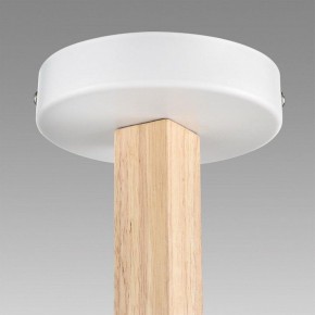 Люстра на штанге Lumion Colange 8095/6C в Коротчаево - korotchaevo.ok-mebel.com | фото 8