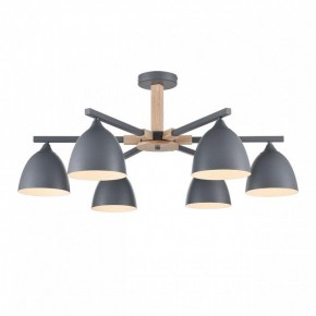 Люстра на штанге Lumion Colange 8096/6C в Коротчаево - korotchaevo.ok-mebel.com | фото 2