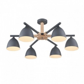 Люстра на штанге Lumion Colange 8096/6C в Коротчаево - korotchaevo.ok-mebel.com | фото 3