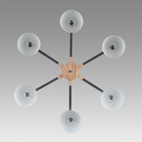 Люстра на штанге Lumion Colange 8096/6C в Коротчаево - korotchaevo.ok-mebel.com | фото 4