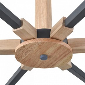Люстра на штанге Lumion Colange 8096/6C в Коротчаево - korotchaevo.ok-mebel.com | фото 7