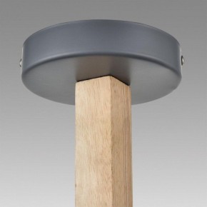 Люстра на штанге Lumion Colange 8096/6C в Коротчаево - korotchaevo.ok-mebel.com | фото 9