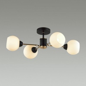 Люстра на штанге Lumion KODI 5646/4C в Коротчаево - korotchaevo.ok-mebel.com | фото 2