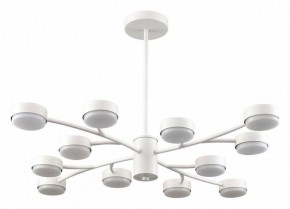 Люстра на штанге Lumion TORINA 8265/12 в Коротчаево - korotchaevo.ok-mebel.com | фото