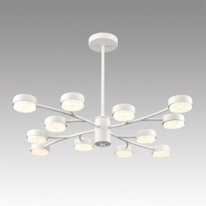 Люстра на штанге Lumion TORINA 8265/12 в Коротчаево - korotchaevo.ok-mebel.com | фото 3