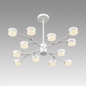 Люстра на штанге Lumion TORINA 8265/12 в Коротчаево - korotchaevo.ok-mebel.com | фото 5