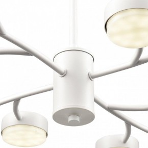 Люстра на штанге Lumion TORINA 8265/12 в Коротчаево - korotchaevo.ok-mebel.com | фото 8