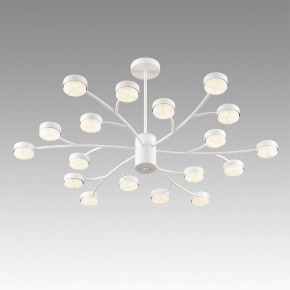 Люстра на штанге Lumion TORINA 8265/18 в Коротчаево - korotchaevo.ok-mebel.com | фото 5