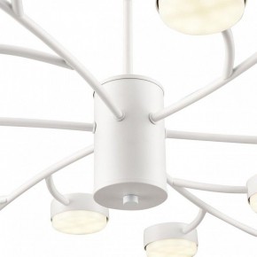 Люстра на штанге Lumion TORINA 8265/18 в Коротчаево - korotchaevo.ok-mebel.com | фото 8