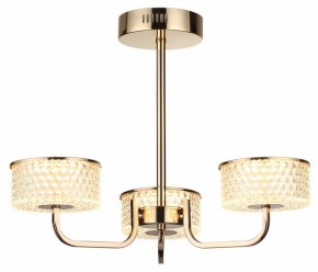 Люстра на штанге Lumion Venice 6579/40CL в Коротчаево - korotchaevo.ok-mebel.com | фото 5