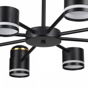 Люстра на штанге Lumion Virsava 8234/8C в Коротчаево - korotchaevo.ok-mebel.com | фото 10