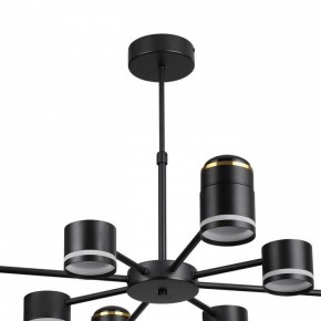 Люстра на штанге Lumion Virsava 8234/8C в Коротчаево - korotchaevo.ok-mebel.com | фото 5