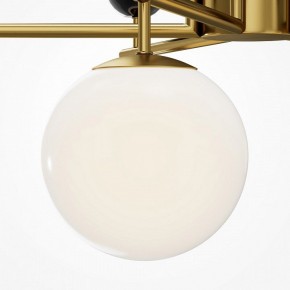 Люстра на штанге Maytoni Museo MOD436PL-07BS в Коротчаево - korotchaevo.ok-mebel.com | фото 4
