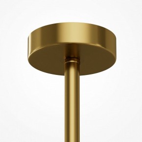Люстра на штанге Maytoni Museo MOD436PL-07BS в Коротчаево - korotchaevo.ok-mebel.com | фото 5