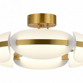 Люстра на штанге ST-Luce ETOILE SL1304.302.45 в Коротчаево - korotchaevo.ok-mebel.com | фото 4