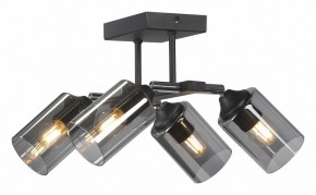 Люстра на штанге Vitaluce V2833 V2833-1/4PL в Коротчаево - korotchaevo.ok-mebel.com | фото