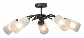 Люстра на штанге Vitaluce V2850 V2850-1/5PL в Коротчаево - korotchaevo.ok-mebel.com | фото