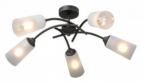 Люстра на штанге Vitaluce V2850 V2850-1/5PL в Коротчаево - korotchaevo.ok-mebel.com | фото 2