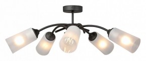 Люстра на штанге Vitaluce V2850 V2850-1/5PL в Коротчаево - korotchaevo.ok-mebel.com | фото 3