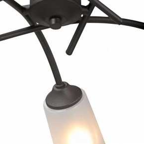 Люстра на штанге Vitaluce V2850 V2850-1/5PL в Коротчаево - korotchaevo.ok-mebel.com | фото 6
