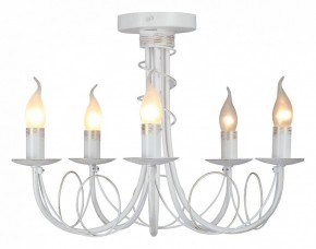 Люстра на штанге Vitaluce V3035 V3035-0/5PL в Коротчаево - korotchaevo.ok-mebel.com | фото 2
