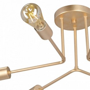 Люстра на штанге Vitaluce V3071 V3071-8/6PL в Коротчаево - korotchaevo.ok-mebel.com | фото 6