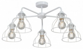 Люстра на штанге Vitaluce V3102 V3102-0/5PL в Коротчаево - korotchaevo.ok-mebel.com | фото