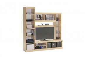 МАКСИ Мини-стенка дуб сонома/белое дерево в Коротчаево - korotchaevo.ok-mebel.com | фото 1