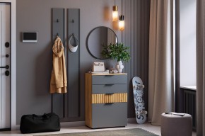 МЕБЕЛЬСОН К21 Прихожая в Коротчаево - korotchaevo.ok-mebel.com | фото 2