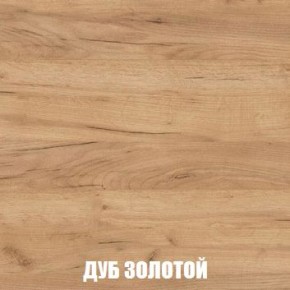 МСП-1 Шкаф 2-х створчатый (Дуб Золотой/Камень темный) в Коротчаево - korotchaevo.ok-mebel.com | фото 4