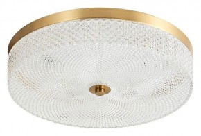 Накладной светильник Arti Lampadari Viro Viro L 1.13.35x9 G в Коротчаево - korotchaevo.ok-mebel.com | фото
