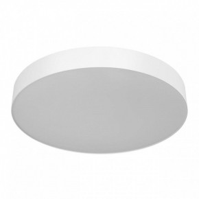 Накладной светильник Citilux BART CL755490 в Коротчаево - korotchaevo.ok-mebel.com | фото
