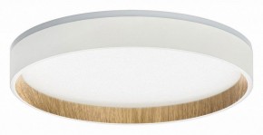 Накладной светильник Citilux Etalon CL750240 в Коротчаево - korotchaevo.ok-mebel.com | фото
